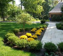 landscape maintenance Wilson Lawn and Landcape