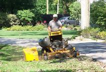 About landscape maintenance Wilson Lawn and Landcape