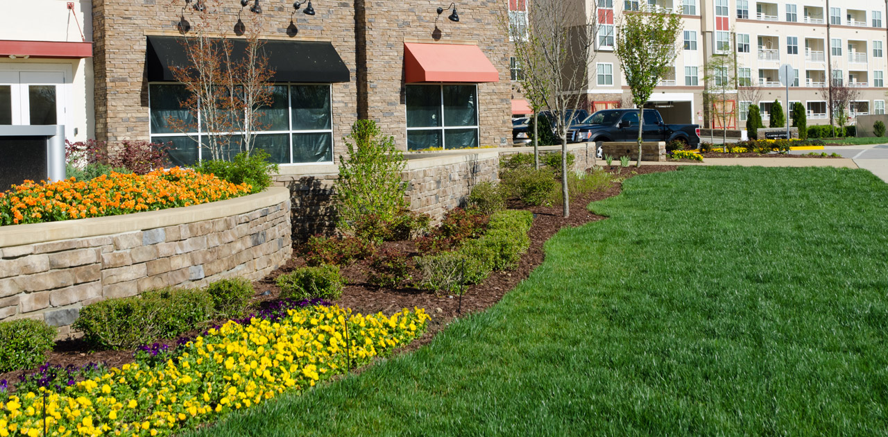 Gallery image 2 — affordable hardscaping Chicago area