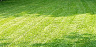 Gallery image 7 — affordable hardscaping Chicago area