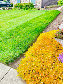 Gallery image 9 — affordable hardscaping Chicago area