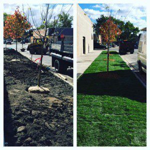 Gallery image 8 — snow removal Chicago