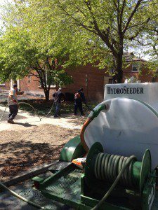 Gallery image 6 — snow removal Chicago