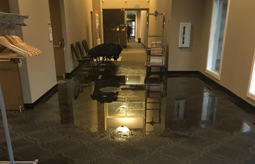 Gallery image 5 — flood cleanup company Phoenix, AZ