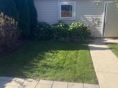 Gallery image 4 — residential lawn care Chicago