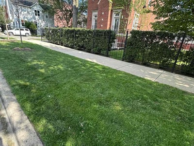 Gallery image 2 — residential lawn care Chicago