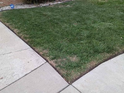 Gallery image 1 — residential lawn care Chicago