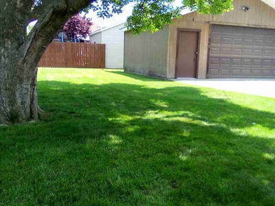 Gallery image 7 — Lawn Love