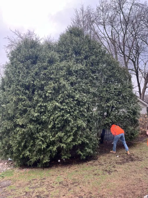 Gallery image 16 — landscaping services in Chicago
