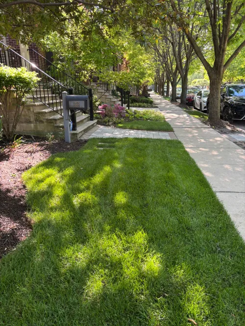 Gallery image 17 — landscaping services in Chicago