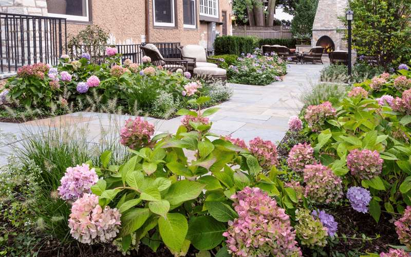 Gallery image 4 — best organic lawn care in Chicagoland
