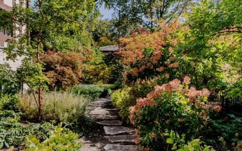 Gallery image 13 — best organic lawn care in Chicagoland