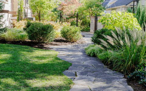 Gallery image 7 — best organic lawn care in Chicagoland