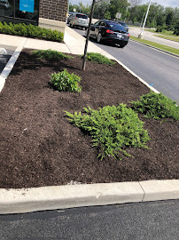 V&V Landscaping