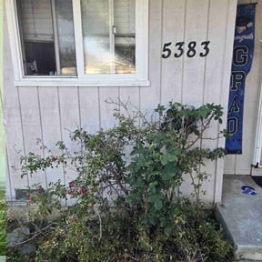 Gallery image 4 — licensed landscapers near me