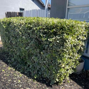 Gallery image 9 — licensed landscapers near me