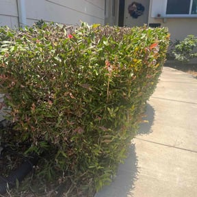 Gallery image 11 — licensed landscapers near me