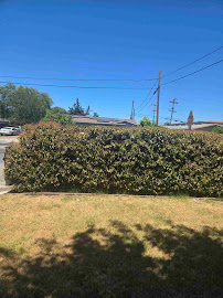 emergency yard cleanup San Jose