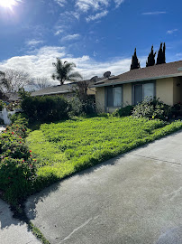 About licensed landscapers near me