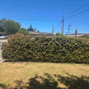 Gallery image 8 — licensed landscapers near me