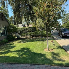 Gallery image 1 — licensed landscapers near me