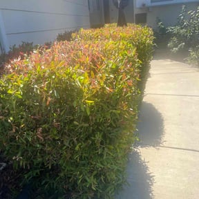 Gallery image 5 — licensed landscapers near me