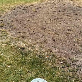 Gallery image 3 — licensed landscapers near me