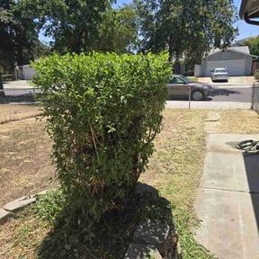 Gallery image 6 — licensed landscapers near me