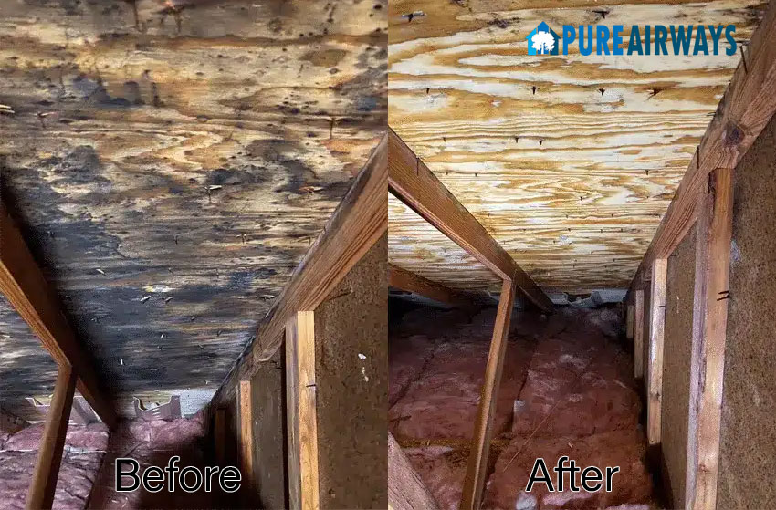 Gallery image 10 — dryer vent cleaning Dallas