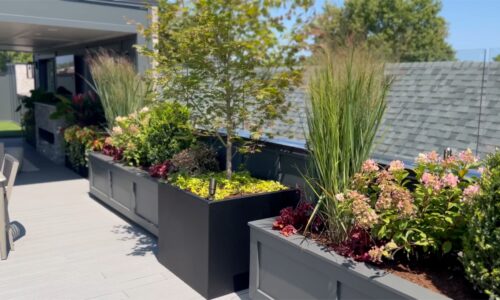 Gallery image 3 — commercial landscaping Chicago