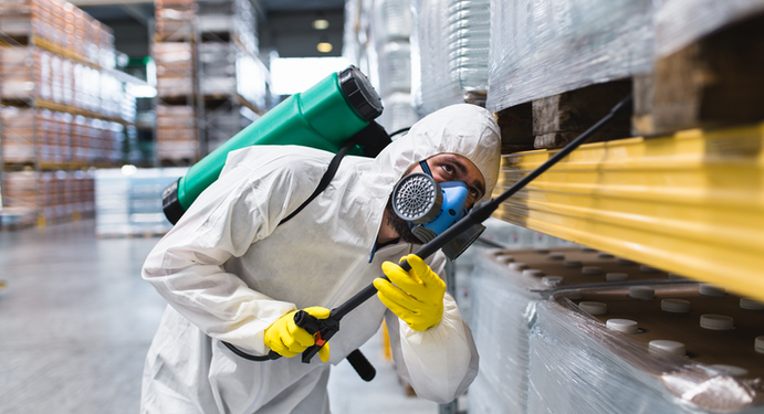 Gallery image 4 — residential pest control near me