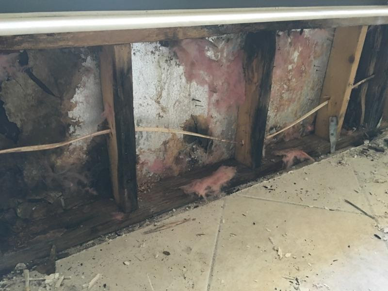 Gallery image 2 — emergency water extraction Tampa
