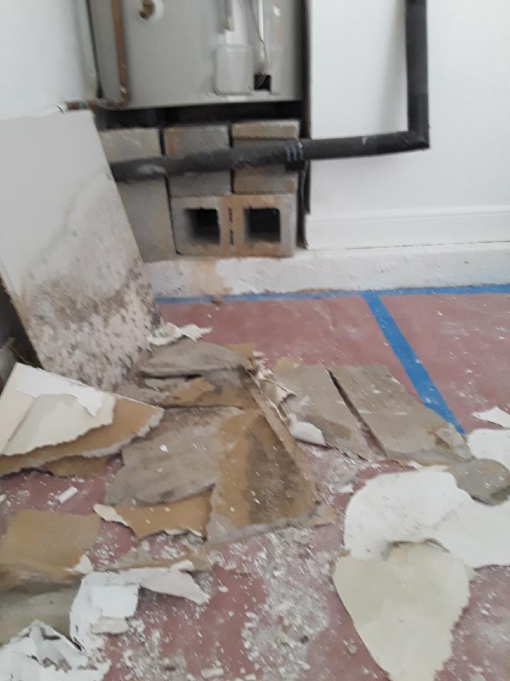 Gallery image 4 — emergency water extraction Tampa