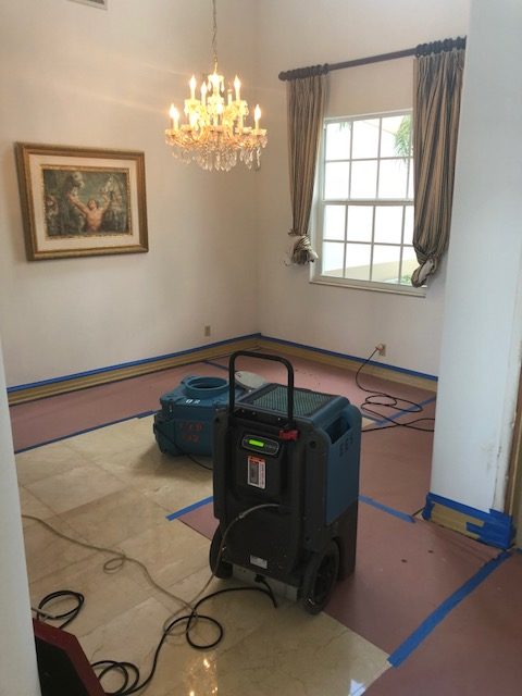 Gallery image 10 — emergency water extraction Tampa