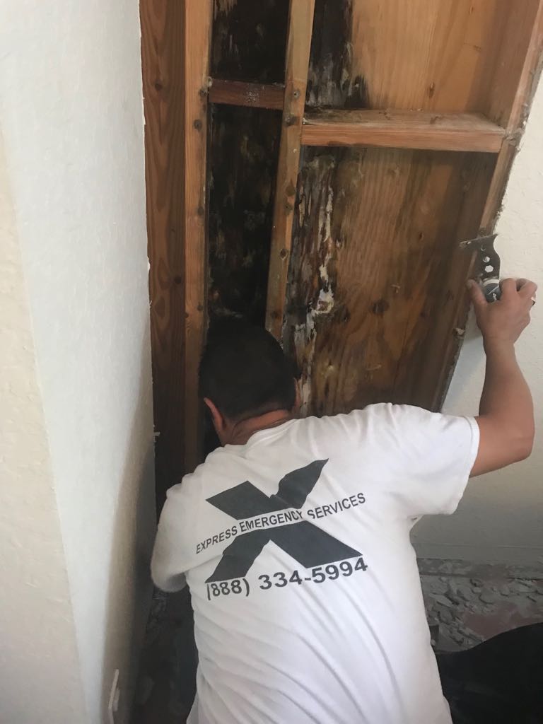 Gallery image 11 — emergency water extraction Tampa