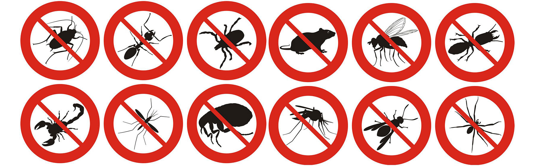 Gallery image 1 — termite treatment in Bergen County