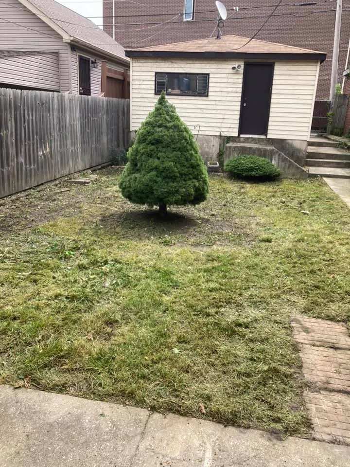 Gallery image 6 — weekly lawn maintenance near me