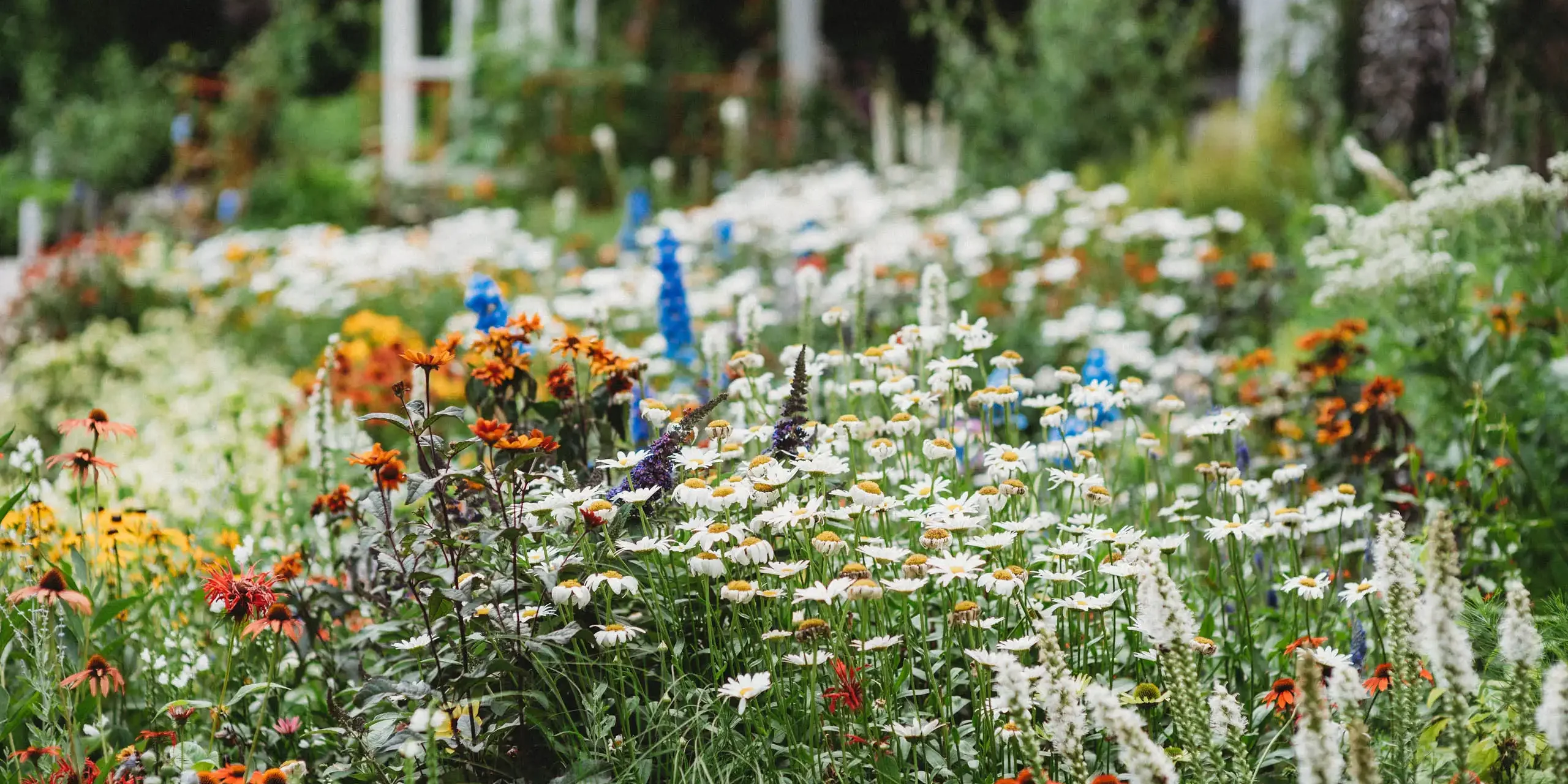 landscape design Oak Park