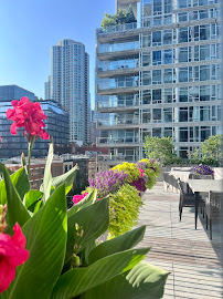 About Chicago Specialty Gardens
