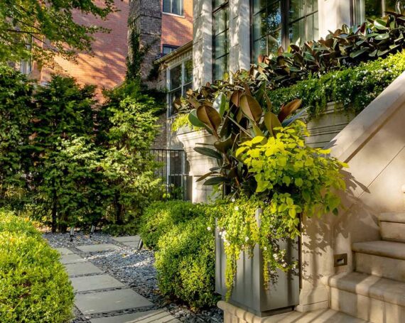Gallery image 11 — Chicago Specialty Gardens