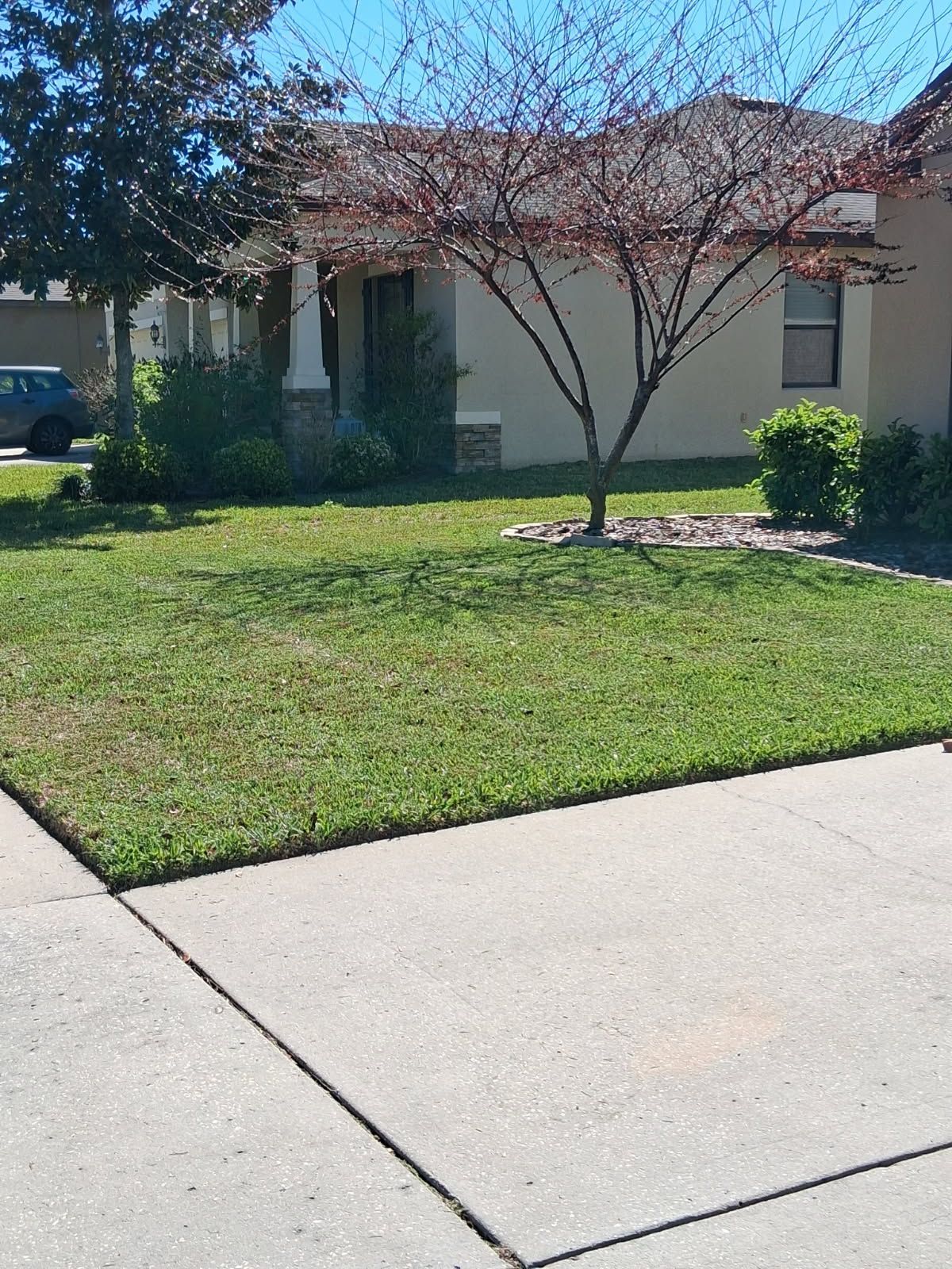 Gallery image 4 — weekly lawn service near me