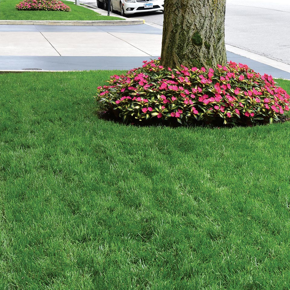 Gallery image 2 — full service landscape design Chicago