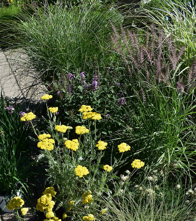 Gallery image 3 — full service landscape design Chicago
