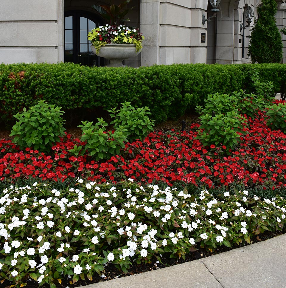 Gallery image 8 — full service landscape design Chicago