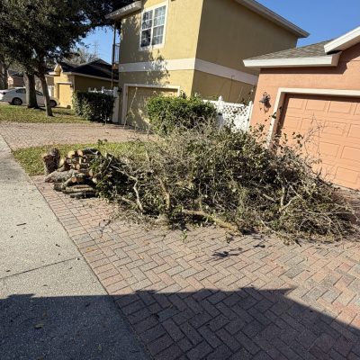 same day junk removal Clermont