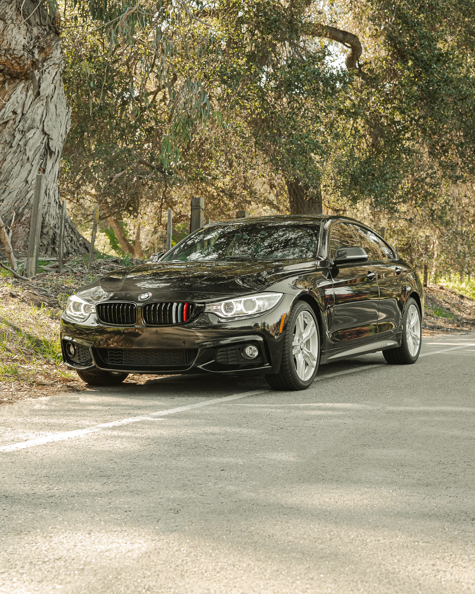 About car detailing in Mountain View