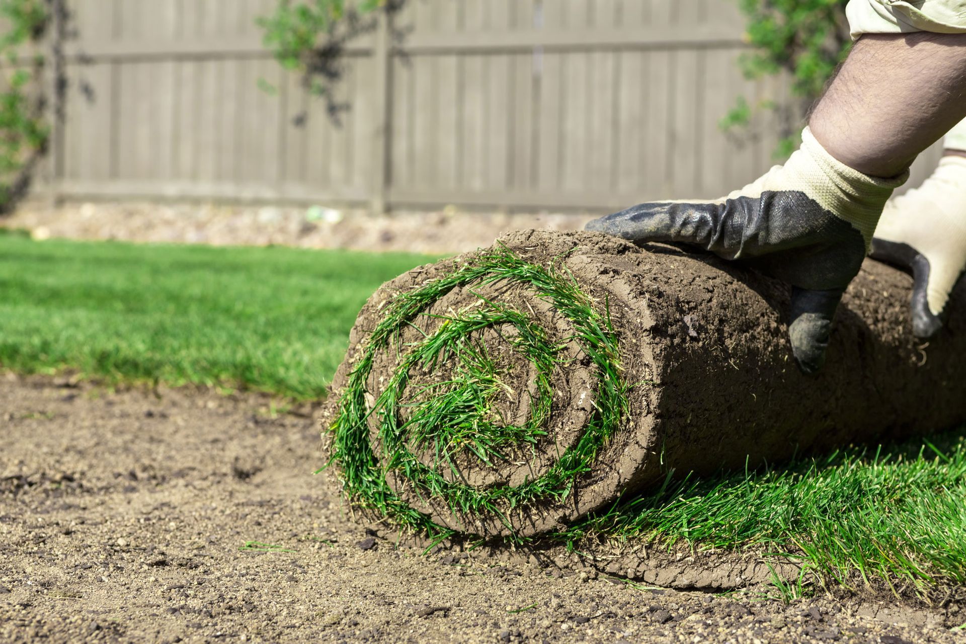 landscape installation in Peoria