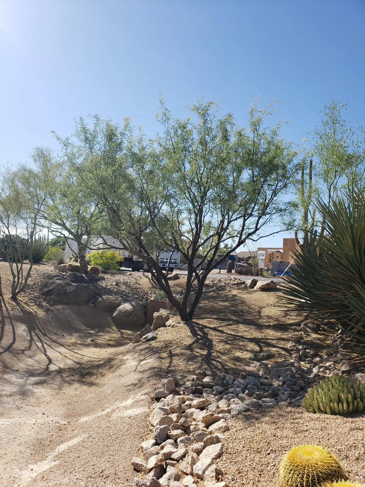Gallery image 8 — irrigation repair Arizona