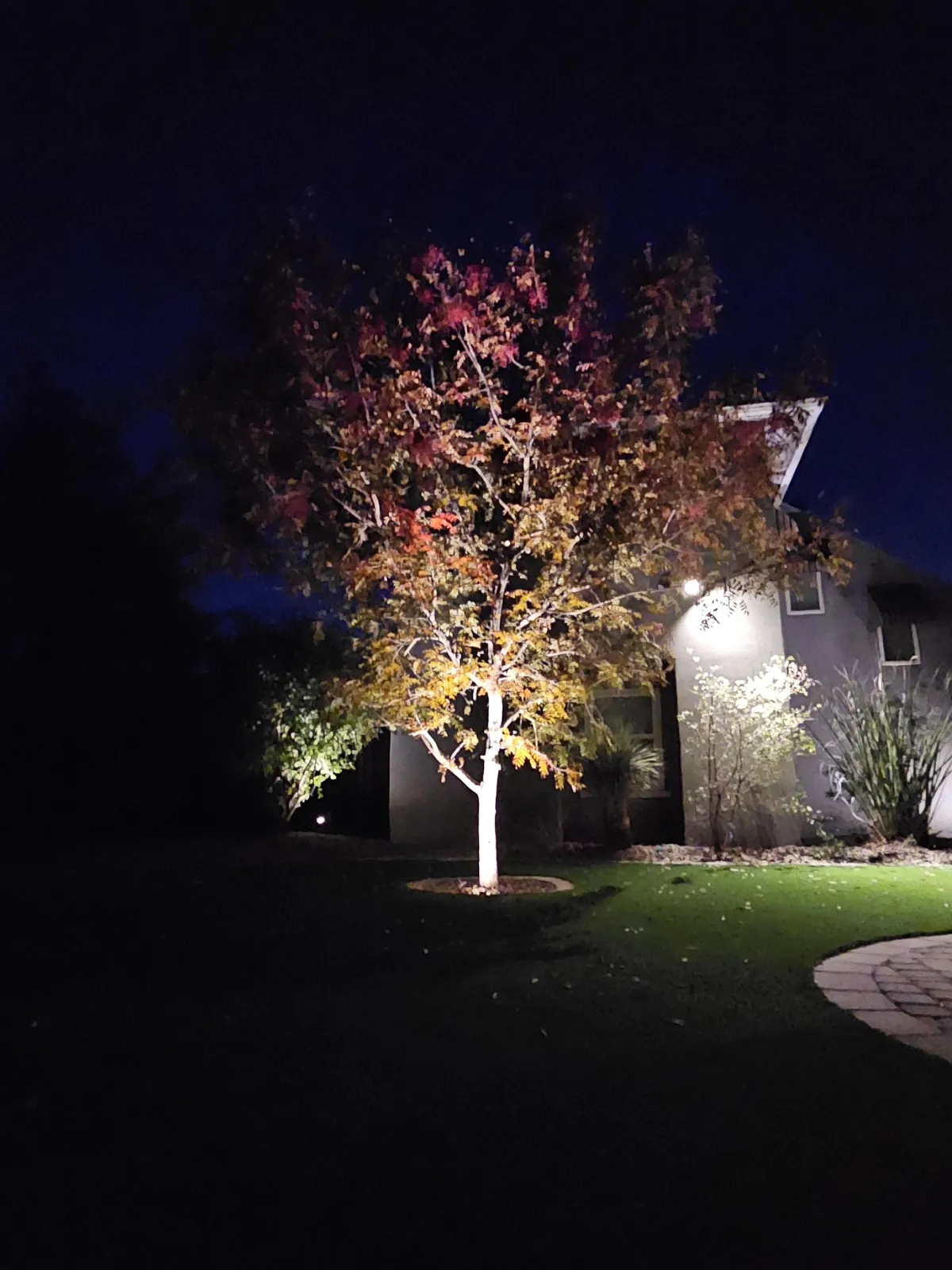 Gallery image 10 — irrigation repair Arizona