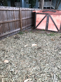 Gallery image 6 — residential junk removal near me